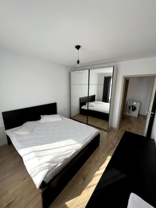 Apartment Teodor 브라쇼브 외부 사진